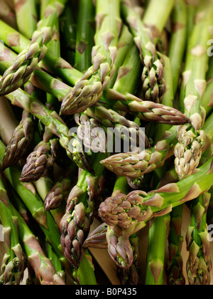 Frischer Spargel Stockfoto