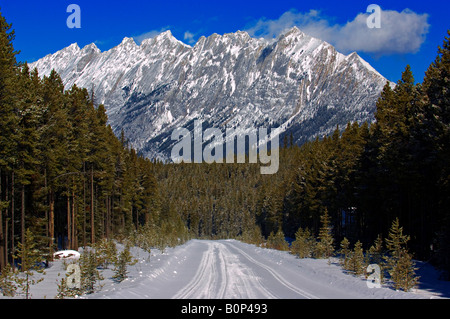 Winter Scenic einer schneebedeckten Straße führt zu einem Rocky Mountain-Hintergrund Stockfoto