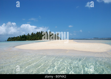 Eine einsame tropische Sand und Palmen Baum Insland in den karibischen Gewässern die San Blas Inseln, Panama. Stockfoto