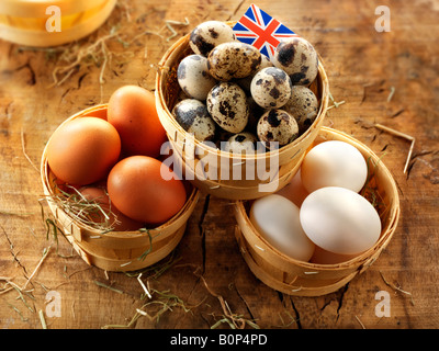 Freilandeier britische Wachtel, Ente und Huhn Stockfoto