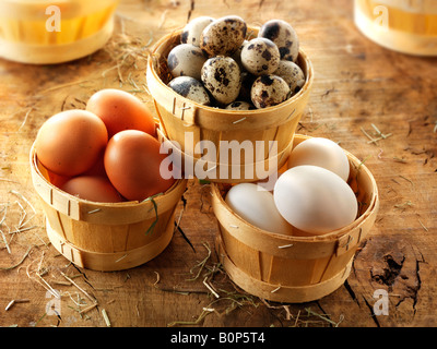 Freilandeier Wachtel, Ente und Huhn Stockfoto