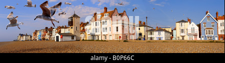 Panoramablick über den Häusern auf dem Meer und dem Kiesstrand mit Möwen in Aldeburgh Suffolk