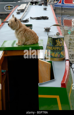 Lastkahn Hund auf Heckklappe Narrowboat neben traditionell bemalten Wasser sitzen kann, klein-Venedig, London, England Stockfoto