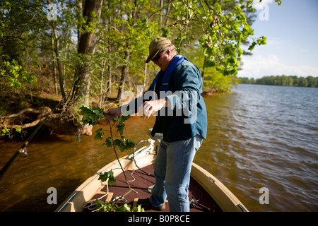 Ein erwachsener Mann hakt seinen Köder, der in einem Baum beim Angeln am Ufer des Sees Greenwood Stading auf einem Bass Boot gefangen wurde Stockfoto