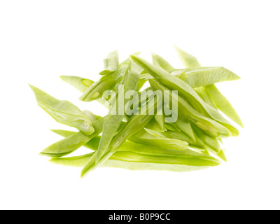 Frische reife Roh ungekocht Green Runner Bohnen Gemüse gegen einen weißen Hintergrund mit keine Menschen und einen Freistellungspfad isoliert Stockfoto