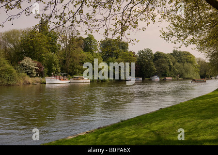 Sportboote auf der Themse in Berkshire gesehen von Windsor Home Park, Windsor Castle Stockfoto