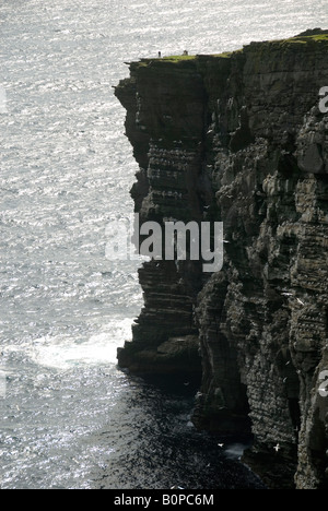 Klippen in der Nähe von Noupe auf der Isle of Noss, Shetland-Inseln, Schottland, UK Stockfoto