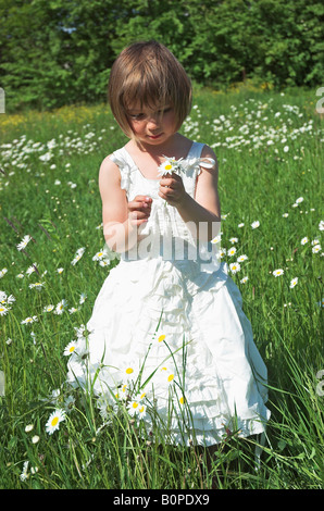 Kleine Mädchen tragen weiße Kleid stehen im Feld 3-5 mit Gänseblümchen-Porträt Stockfoto