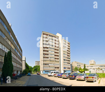 Ein 3 Bild-Stitch auf der berüchtigten Ferrier Estate in Kidbrooke, London Panorama. Stockfoto