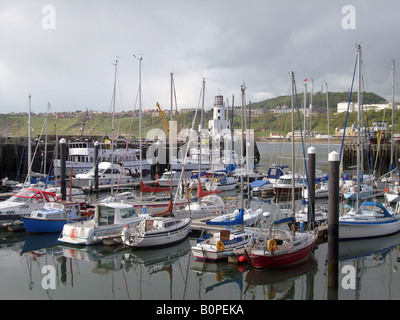 Yachten ankern im Hafen von Scarborough, North Yorkshire, England. Stockfoto