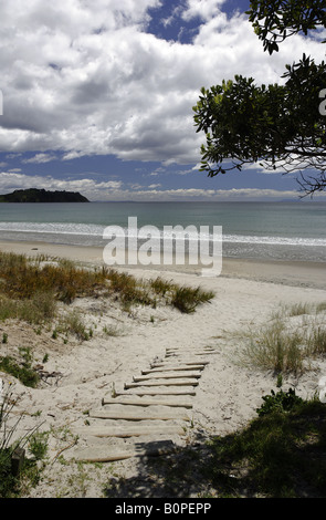 Strandszenen am Ontangi Strand, Waiheke Stockfoto