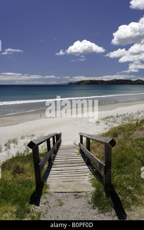 Strandszenen am Ontangi Strand, Waiheke Stockfoto