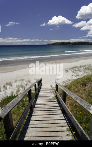 Strandszenen am Ontangi Strand, Waiheke Stockfoto