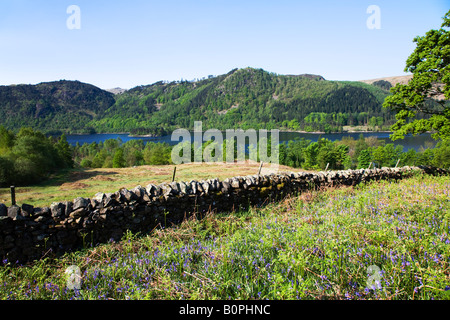 Thirlmere im Mai Frühjahr Farben an den Bäumen mit Glockenblumen rund um den Stausee, der "Lake District" Cumbria England UK Stockfoto