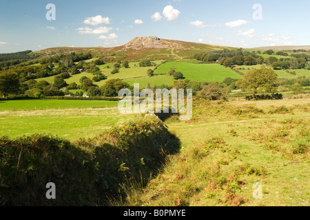 Ein Blick auf Sheepstor in der Nähe von Burrator auf Dartmoor Stockfoto