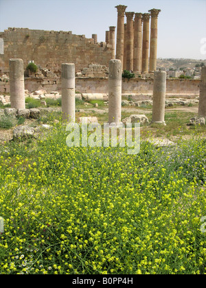 Römische Säulen in der antiken Stadt Jerash in Nordjordanien, Jordanien, Naher Osten Stockfoto