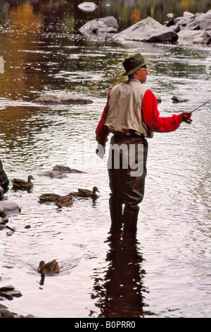 Fliegenfischen in Maine Stockfoto