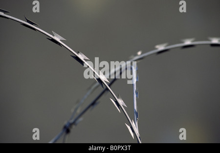 Stacheldraht an der Berliner Mauer. Deutschland. Stockfoto