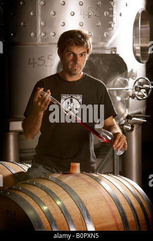 David Ramonteu Winzer Hatton Estate Wine Maker Überprüfung Kiste Wein mit Wein Dieb Stockfoto