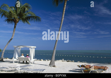 Garten Cove Key Largo Florida Keys Florida USA Stockfoto