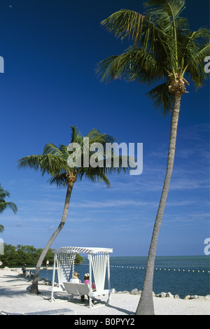 Garten Cove Key Largo Florida Keys Florida USA Stockfoto