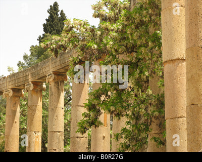 Römische Säulen in der antiken Stadt Jerash, Jordanien, Naher Osten Stockfoto