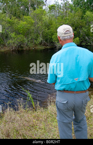 Mann im Everglades mit amerikanischer Alligator im Wasser Florida Angeln Stockfoto