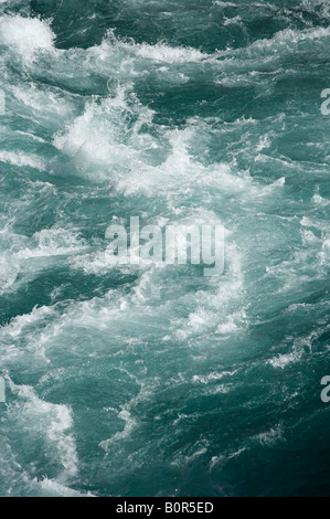 Stromschnellen Kawarau River Kawarau Gorge am Roaring Meg in der Nähe von Queenstown Südinsel Neuseeland Stockfoto