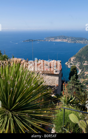 tropisch, Botanischer Garten in Eze, Südfrankreich Stockfoto