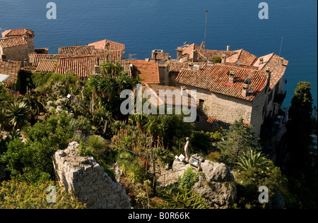 tropisch, Botanischer Garten in Eze, Südfrankreich Stockfoto