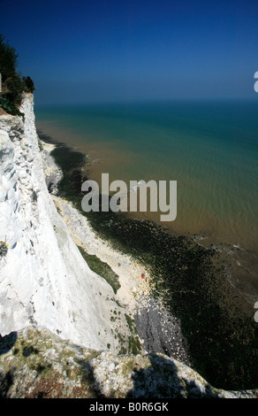 Blick nach unten von der Klippe auf dem Saxon Shore Weg zwischen Oldstairs Bay und St. Margrets Bay, Kent Stockfoto