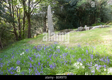 King Orry Grab in der Nähe von Laxey, Isle of man-IOM. Megalithische Tomb.UK.83217 KingOrry Grave. Horizontal.Bluebells Stockfoto