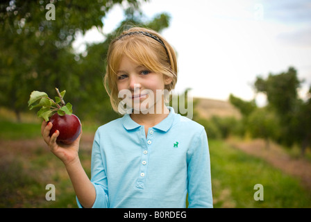 Eine Mädchen nimmt Äpfel in einem Obstgarten auf dem Bauernhof Stockfoto