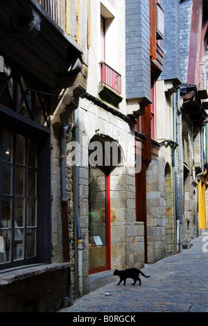 Eine schwarze Katze wandert vorbei an mittelalterlichen Häusern auf Rue Beaudrairie in Vitre Brittany France Stockfoto