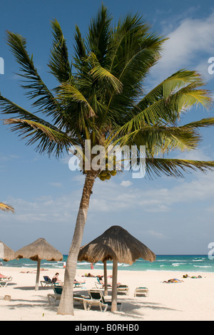 Strand von Playa del Carmen Mexiko Stockfoto