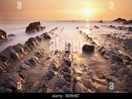 Welcombe Bay bei Sonnenuntergang, in der Nähe von Bude, Devon, England, UK Stockfoto