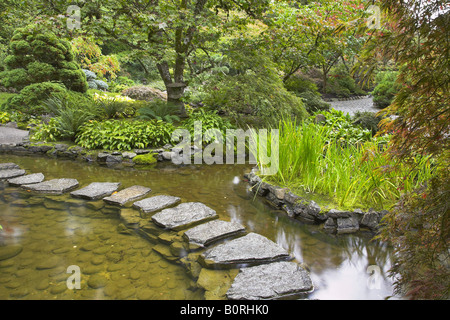 Ein Weg aus den nassen Steinen gelegt durch einen Teich im japanischen Garten Stockfoto