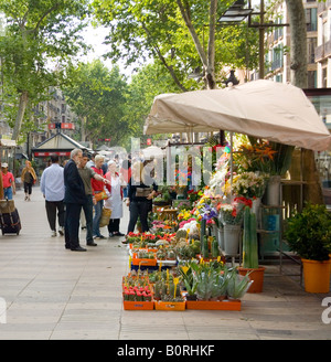 Blume-Stall an den Ramblas in Barcelona Spanien Stockfoto