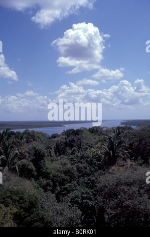 Blick auf den New River Lagune und Regenwald aus den Maya-Ruinen von Lamanai, Belize Stockfoto