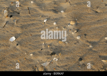 Cape Hatteras, Outer Banks, North Carolina Stockfoto