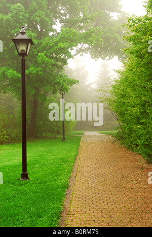 Pfad in einem grünen Nebel Park im Frühjahr Stockfoto