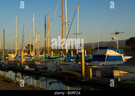 Booten in der Marina in Morro Bay State Park Morro Bay, Kalifornien Stockfoto