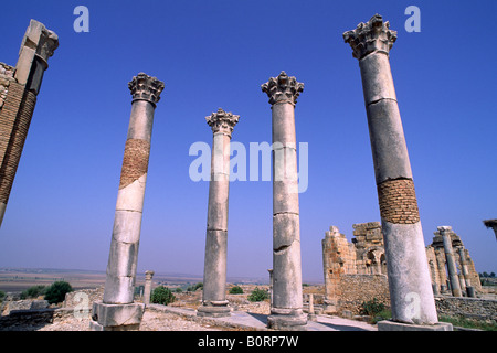 Marokko, Volubilis, antike römische Stadt, kapitolinischen Tempel Stockfoto