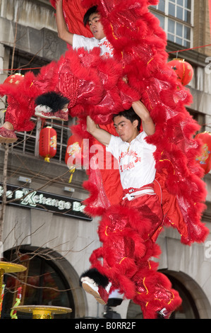 2 chinesische Drachen und Löwen tanzen Akrobaten auf Pole an die London Chinatown Chinese New Year Feierlichkeiten durchführen Stockfoto