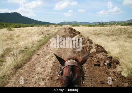 Landschaft Vom Pferd aus Bei Trinidad Kuba Latein Amerika Stockfoto