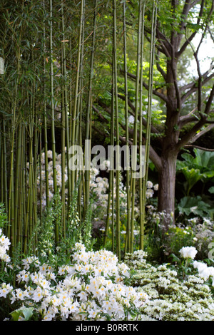 DER DAILY TELEGRAPH GARTEN DESIGNER ARABELLA LENNOX BOYD RHS CHELSEA FLOWER SHOW 2008 Stockfoto