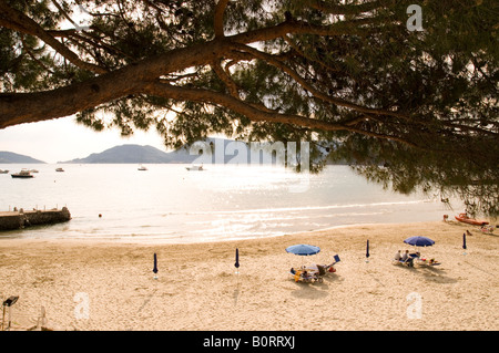 Lerici Strand Kiefer Baum Regenschirm Meer Portovenere Cinque Terre fünf Vorgebirge Italien Ligurien Toskana Sonnenuntergang Stockfoto