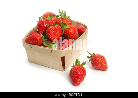 Körbchen frische Erdbeeren Stockfoto