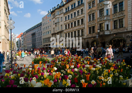 Fußgänger in der Kaufinger Straße zu Fuß in die Stadt München Hauptstadt von Bayern Stockfoto