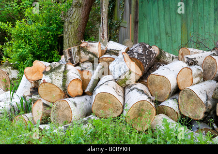 Haufen von Protokollen Stockfoto